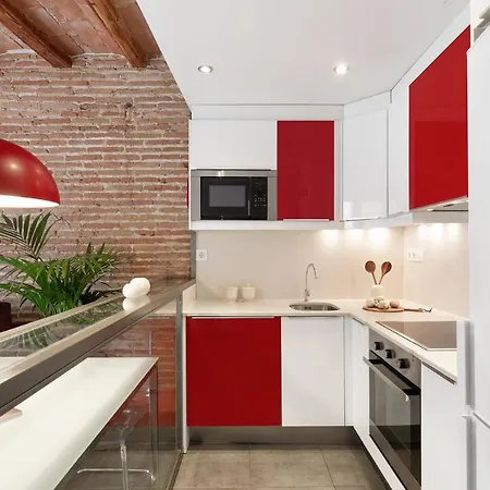 Ola Living Macba Apartment Barcelona