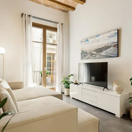 Ola Living Macba Apartment Barcelona